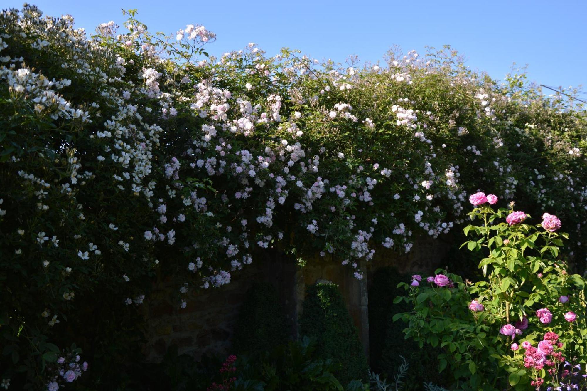 Holiday home - Les Tillets Bois-Sainte-Marie